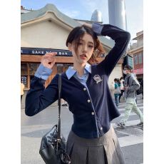 批发原版做法假两件polo领<b class='q'>衬衫</b>女春季学院风<b class='q'>修身</b>显瘦短款叠穿上衣