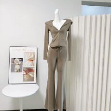 批发【Farte Shop】心动素调 连帽卫衣休闲<b class='q'>裤</b>套装女春秋修身两件套