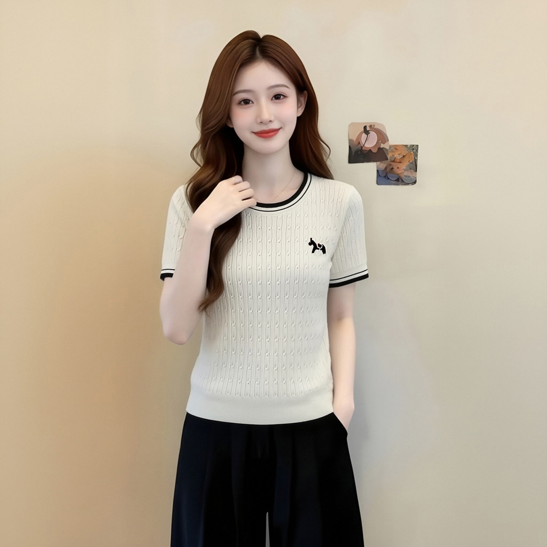 한 부서 학원 스타일 화이트 자수 니트 반팔 티셔츠 여성 여름 디자인 센스 작은 대중 몸매 가꾸기 쇼트 스타일 맨위 얇은
