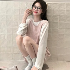 批发秋冬减龄一整套穿搭女新款韩系粉色背心连衣裙内搭打底衫两件套装