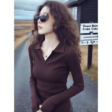 批发独特超好看Polo领针织衫毛衣女款2025<b class='q'>新款</b>冬季修身内搭打底衫上衣