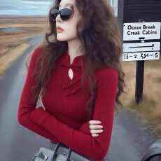 批发国风抬气质 秋冬针织衫显瘦内搭毛衣长袖2025<b class='q'>女装</b>新上衣中式立领