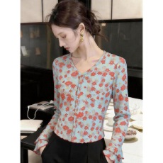 批发气质高级印花喇叭袖<b class='q'>长袖</b><b class='q'>T</b><b class='q'>恤</b>女法式甜美V领超好看网纱外搭开衫上衣