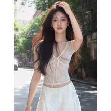 批发2026夏季新款蝴蝶结V领<b class='q'>蕾丝</b>短袖T恤女微透修身显瘦洋气百搭上衣女