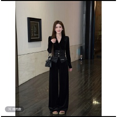 批发【奢宠主角】雾中芭蕾V领<b class='q'>丝绒</b>拼接纽扣显瘦上衣直筒加绒裤套