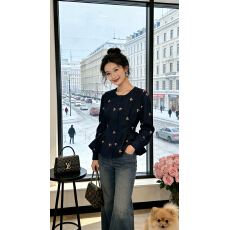 批发实拍大码2026秋装胖MM刺绣蝴蝶长袖衬衫开衫女高级感时尚气质上衣