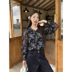 批发实拍2026春装欧洲站新款洋气小衫女大码宽松显瘦印花雪纺衬衫上衣