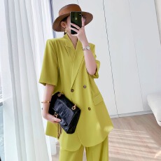 批发薄款短袖西装外套女2026<b class='q'>夏</b>季时尚透气垂感不易皱免烫阔腿裤套装
