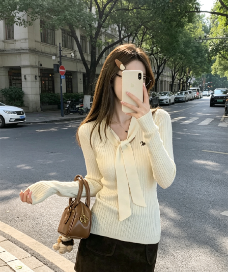 가을 겨울 한국 스타일 품격 몸매 가꾸기 V넥 레이스업 꽈배기 닥스 훈트 앤디 플러시 니트 스웨터 스웨터