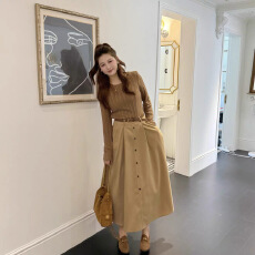 批发实拍中~胖女装 2026年秋装新品法式气质<b class='q'>连衣裙</b>YZ51217