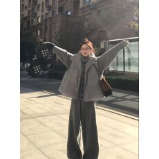 批发<b class='q'>通勤</b>简约夹棉灰色韩系高级感穿搭女秋冬小个子叠穿马甲