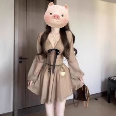 批发新款温柔风独特绝美显瘦a字裙法式高级感气质V领收腰连衣裙女