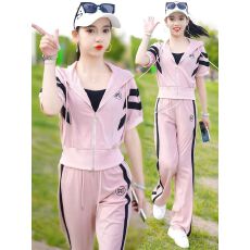 批发时尚休闲套装女2025年夏季新款宽松减龄洋气<b class='q'>运动服</b>阔腿裤两件套