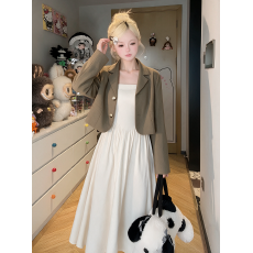 批发西装外套女秋季2026<b class='q'>新款</b>设计感露背薄款时尚短款小西服连衣裙套装