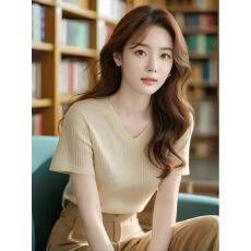 V领短袖t恤女士2026年夏季新款时尚洋气修身显瘦冰丝针织小众上衣