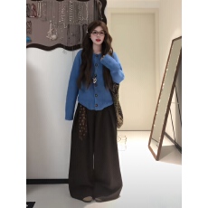批发蓝色慵懒外穿针织开衫毛衣女宽松<b class='q'>显瘦</b>阔腿裤两件套装