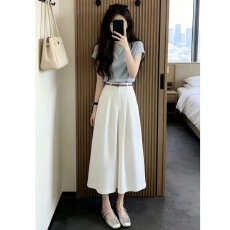 批发小个子2026通勤搭配一整套茶系气质小飞袖高级感半身裙时尚两件套