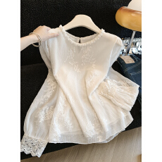 批发法式温柔风白色刺绣<b class='q'>长袖</b><b class='q'>雪纺</b>衫女春季立领木耳边喇叭袖百搭<b class='q'>上衣</b>潮