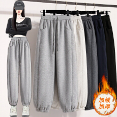 批发2025冬季韩版<b class='q'>运动裤</b>加厚奥粒绒百搭显瘦休闲哈伦裤高腰束脚卫裤女