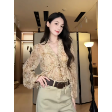 批发复古蕾丝花边印花雪纺防晒衬衫女法式温柔风别致高级感气质上衣<b class='q'>夏</b>