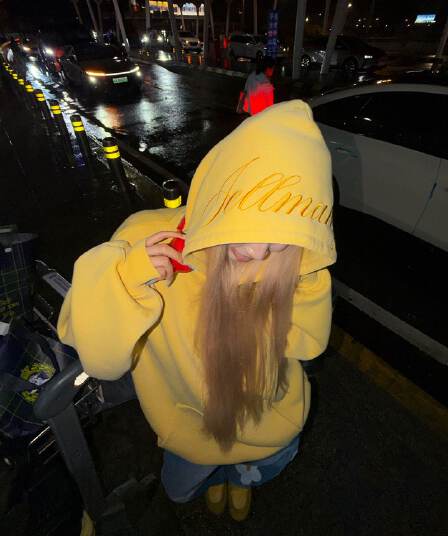 얇은 스타일 털이 있는 자수 이후 패키지 칼라 순수한 Mianhua 면 복합 후드티 여성