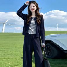 批发超好看<b class='q'>秋</b>季套装女2026新款针织开衫阔腿裤两件套减龄休闲装