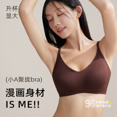 批发秋冬<b class='q'>加厚</b>磨毛聚拢内衣山茶花精油养护提拉<b class='q'>文胸</b>固定杯小胸显大