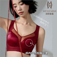 批发CD杯记忆圈乳胶夹棉聚拢<b class='q'>调整型</b>大胸显小大码<b class='q'>内衣</b>