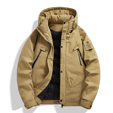 批发冬季新款羽绒服男<b class='q'>时尚</b>休闲连帽新国标白鸭绒情侣纯色羽绒服