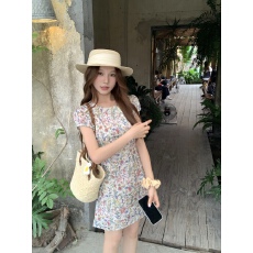批发实价实拍莫奈花信短袖碎花<b class='q'>纯棉</b><b class='q'>连衣裙</b>女春夏圆领长短款修身收腰裙