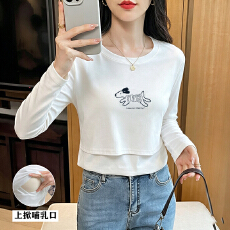批发实拍 秋冬新款<b class='q'>哺乳</b><b class='q'>T</b>恤产后辣妈纯棉亲肤百搭月子期喂奶打底<b class='q'>上衣</b>