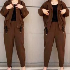批发大码女装休闲<b class='q'>套装</b>女2026秋冬季新款胖mm加绒加厚宽松哈伦裤两件套