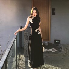 批发木子李的李新中式立领无袖蕾丝刺绣针织<b class='q'>连衣裙</b>垂感高腰A字长裙夏