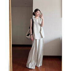 批发小众不撞款套装女高级感通勤<b class='q'>职业</b>不规则马甲衬衫上衣阔腿裤两件套