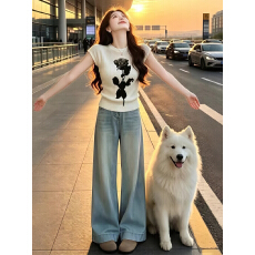 批发枕锦观鱼 国风小飞袖显瘦印花宽松上衣+湖蓝<b class='q'>欧根纱</b>锦鲤<b class='q'>刺绣</b>半身裙