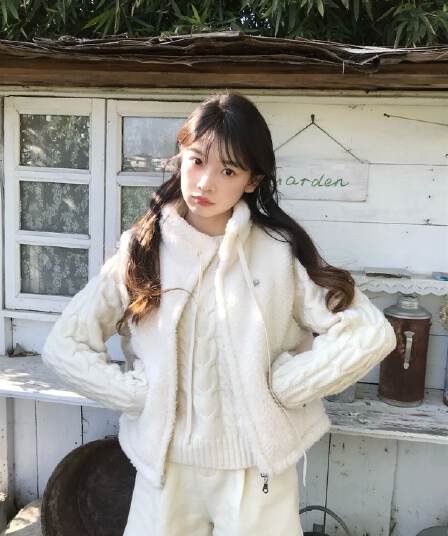 솜을 넣은 베스트 양털 여자 새로운 가을 겨울 외출용 맨위 작은 키 보온 조끼 지퍼 재킷