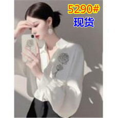 批发法式气质上衣2025春新款轻奢时尚<b class='q'>小衫</b>独特漂亮高级感白色印花衬衫