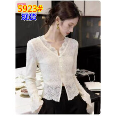 批发独特漂亮春季<b class='q'>蕾丝</b>衬衫女设计感小众内搭2026新款洋气小衫绝美上衣