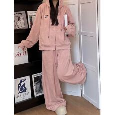 批发新款休闲运动套装<b class='q'>春</b>秋显瘦连帽韩版宽松拉链开衫长裤卫衣两件套装