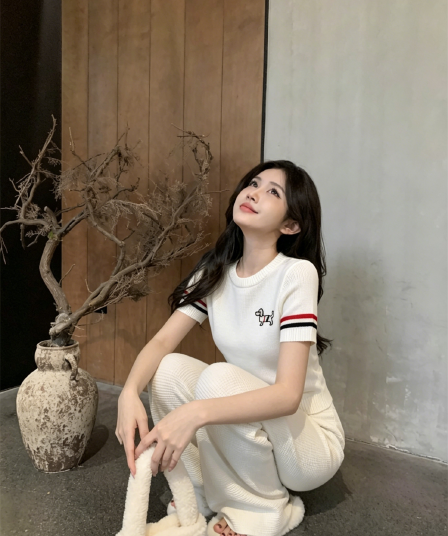 실사 정가 2026 새로운 자수 라운드 넥 니트 몸매 가꾸기 반팔 미니멀리즘 학원 캐주얼 바람
