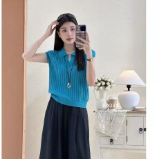 批发韩系老钱风穿搭坑条polo领短袖针织衫女夏季显瘦休闲气质翻领上衣