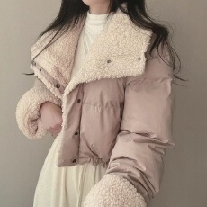 批发2025新款两面穿法韩版翻领仿羊羔毛棉服短款宽松加厚长袖面包服女
