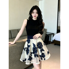 批发已保护 夏上新！重工刺绣法式千金感套装女无袖气质背心+A字半裙