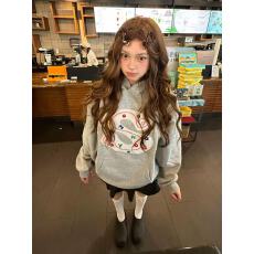 批发美式复古连帽字母<b class='q'>套头卫衣</b>女春秋冬宽松慵懒风显瘦松弛感休闲上衣