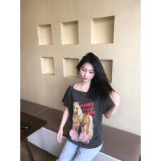 批发<b class='q'>街头</b>风美式休闲斜肩短袖T恤女趣味豹纹小马印花宽松设计感短t