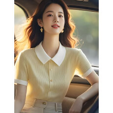 批发今年夏新款polo领简约时尚大气休闲正肩冰丝短袖<b class='q'>针织衫</b>女T恤