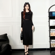 批发实拍2025秋季新款<b class='q'>明星</b>同款高级简约设计感弹力网纱百搭长款<b class='q'>连衣裙</b>