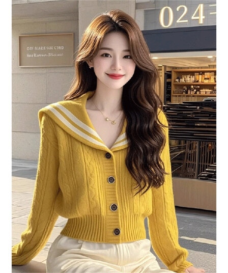 2026 가을 새로운 작은 샤넬 스타일 스웨터 여자 외출용 외국 가스 고급 Chic 황색 해군 칼라 니트 스웨터 맨위
