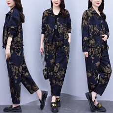 批发秋装新款休闲时尚<b class='q'>套装</b>宽松遮肉显瘦大码女装长袖开衫<b class='q'>哈伦裤</b>两件套