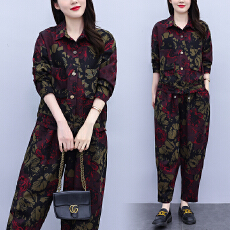 批发秋装新款休闲时尚<b class='q'>套装</b>宽松遮肉显瘦大码女装长袖开衫<b class='q'>哈伦裤</b>两件套